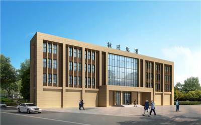 四川林辰集團辦公樓